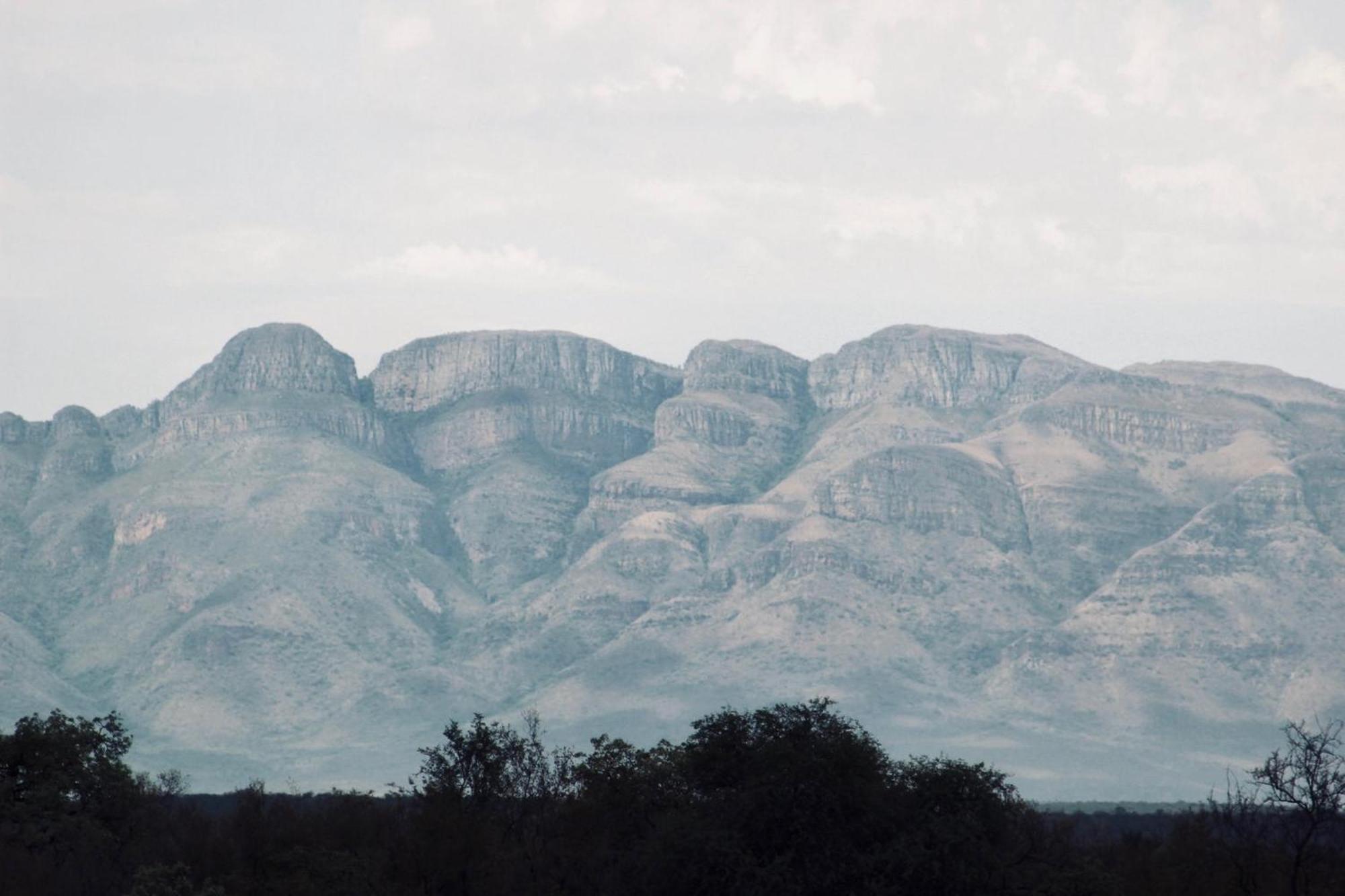 Parsons Hilltop Safari Camp Balule Természetvédelmi Rezervátum Kültér fotó