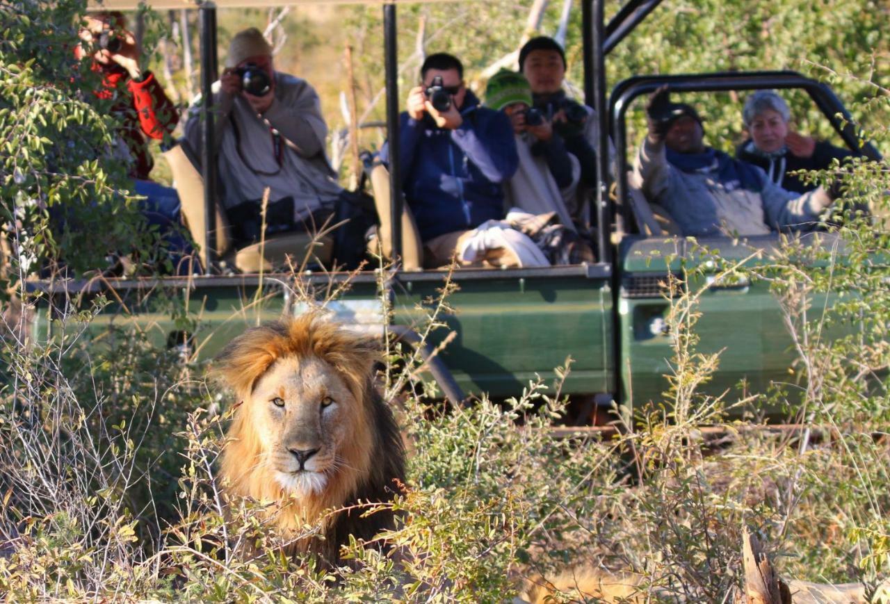 Parsons Hilltop Safari Camp Balule Természetvédelmi Rezervátum Kültér fotó